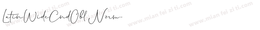 LatinWideCndObl Norm字体转换